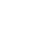 Icon featuring a gem with line art styling. You can shop necklaces by clicking here