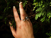 Celestial Arches Ring-Sterling Silver or Gold