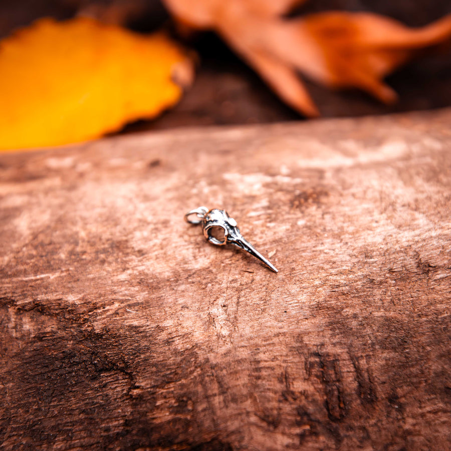 Raven Skull Charm for Necklaces or Bracelets-Sterling Silver