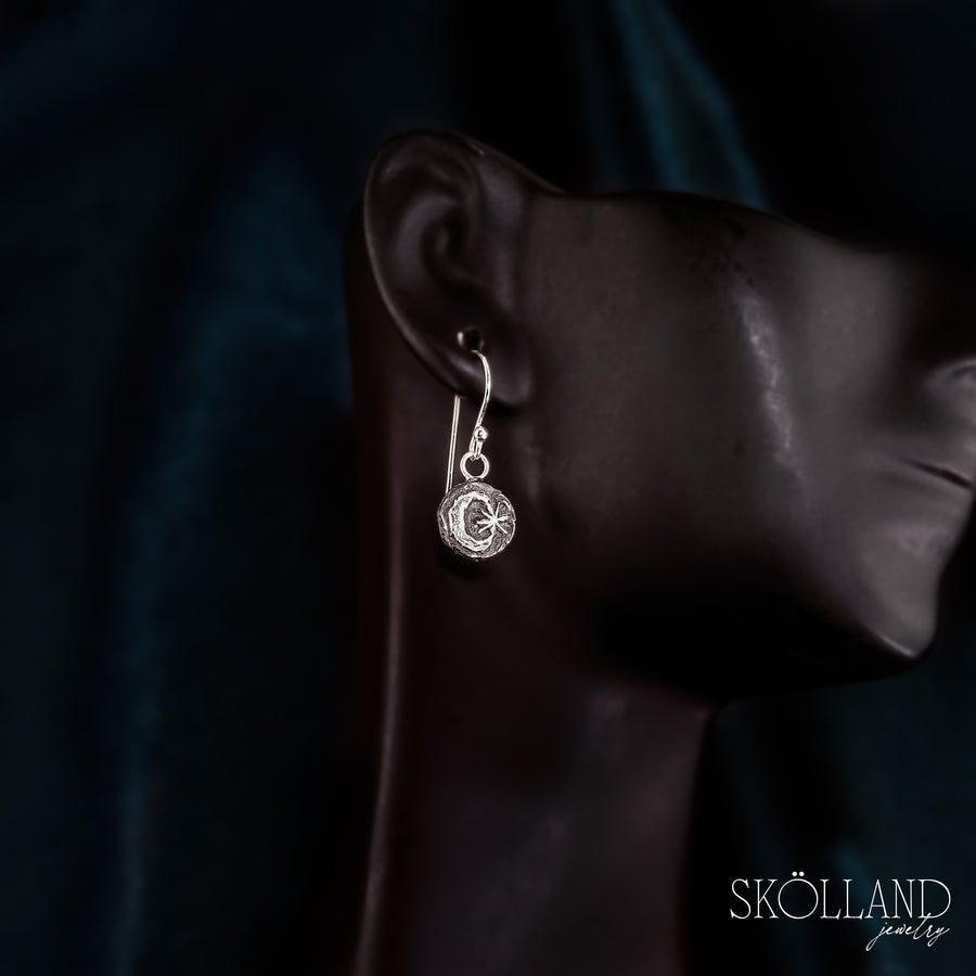 Crescent Moon and Star Earrings